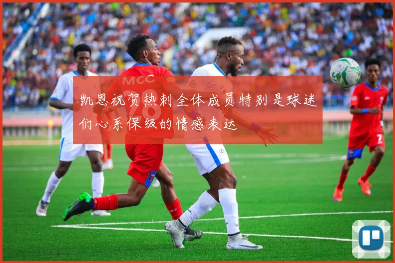 凯恩祝贺热刺全体成员特别是球迷们心系保级的情感表达
